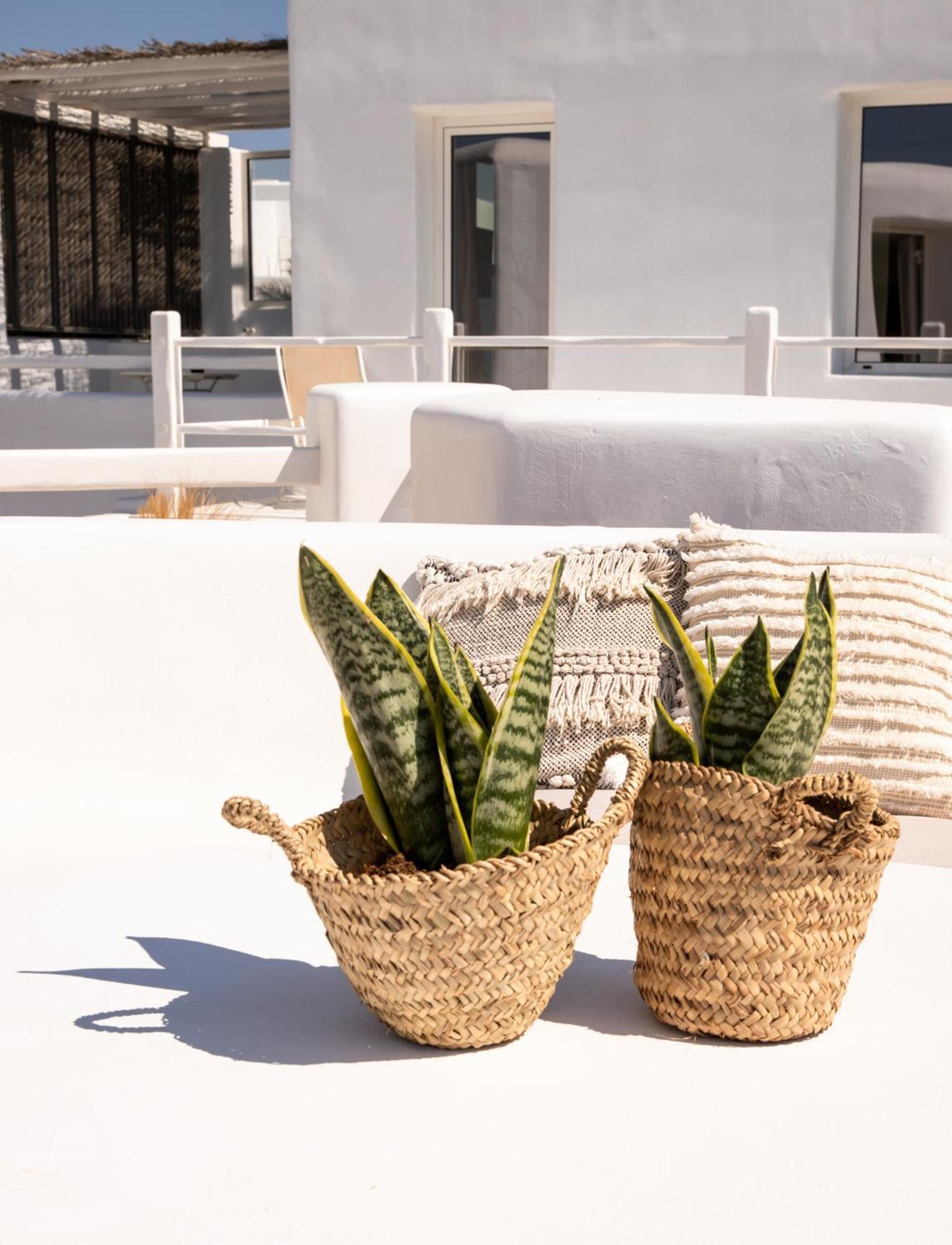 Rocabella Mykonos Hotel Agios Stefanos  Bagian luar foto